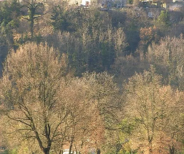 Angolo Del Gelsomino ファームステイ